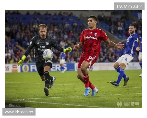 英超富勒姆续约米特罗维奇